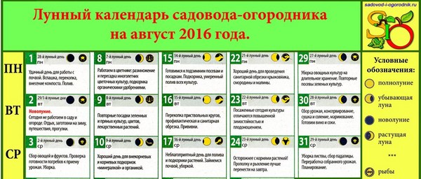 Camionero de camión de calendario lunar para agosto de 2016 para la región de Moscú, la zona media de Rusia, los Urales, Siberia, el noroeste, Bielorrusia y Ucrania