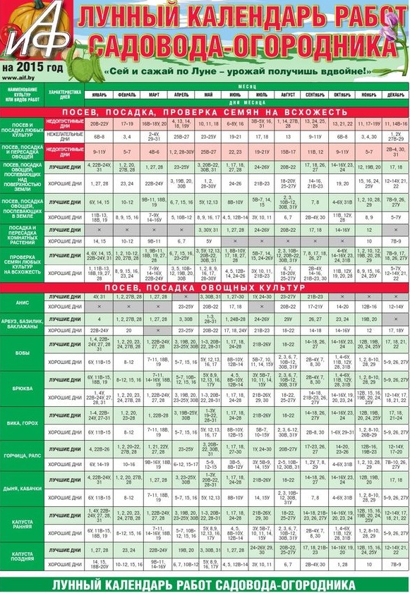 Calendario de jardinero para julio de 2015