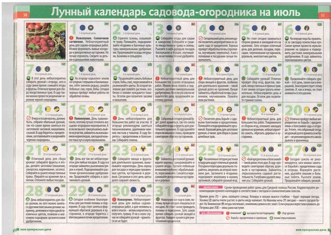 Calendario lunar del jardinero en el rango medio 2015