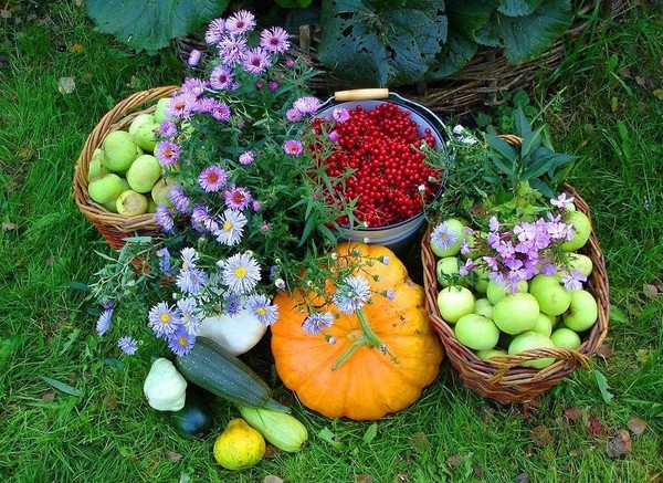 Calendario lunar del camión agricultor para septiembre de 2016 para la región de Moscú, Noroeste, Ural, Siberia, Ucrania, Bielorrusia
