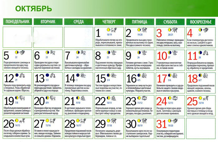 El calendario lunar del horticultor-jardinero en octubre de 2015