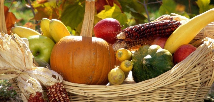 El calendario lunar del horticultor-jardinero en octubre de 2015