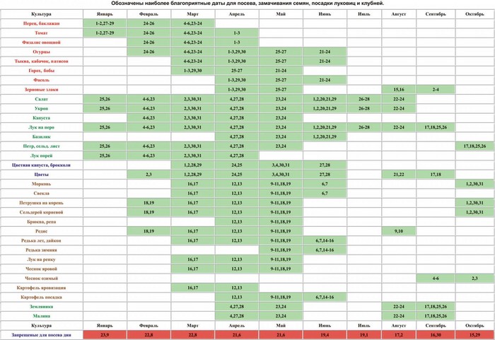 El calendario lunar del horticultor-jardinero en octubre de 2015
