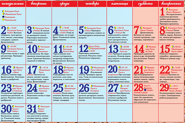 Calendario de siembra lunar para enero de 2017 en la mesa para jardineros y camioneros. Días de siembra favorables para tomates (tomates) para plántulas lunares-2017