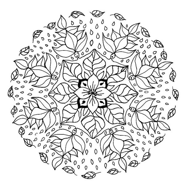 ¿Qué son los mandalas?