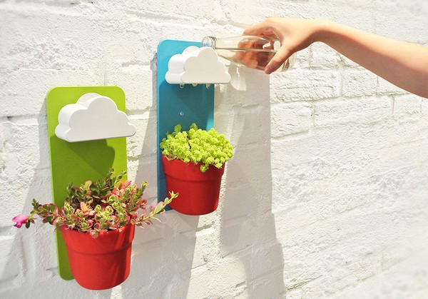 ¡Limpieza, sedum, hierba de liebre! Cultivo de suculentas en el macizo de flores y en el alféizar de la ventana