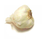 Peculiaridades de cultivar ajo
