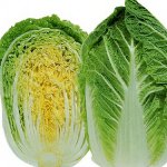 Repollo de Pekín: cultivo