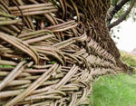 Wickerwork - decoración de su sitio