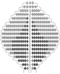 El esquema de rosas de cuentas