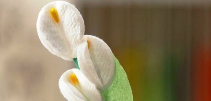 Un regalo para mamá flores de una clase magistral de disco de algodón con una foto Flores de algodón con sus propias manos