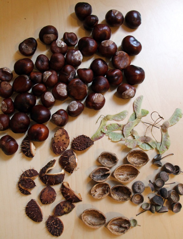 Artesanía de castañas sobre el tema de otoño