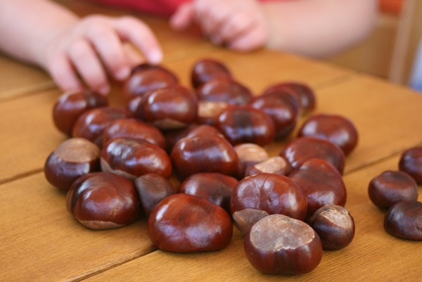Artesanía de castañas sobre el tema de otoño