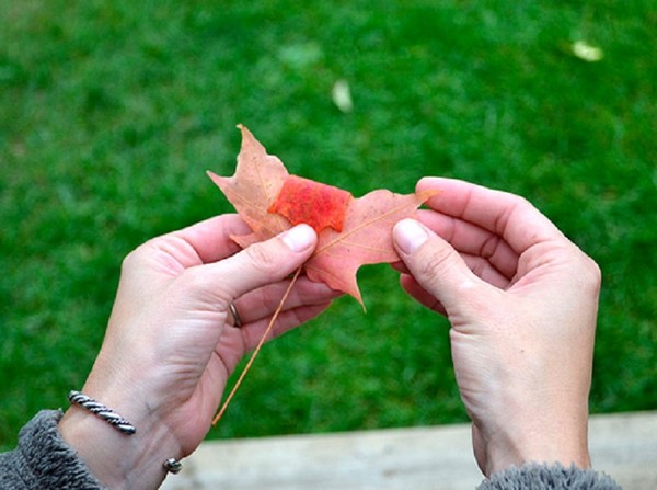 Manualidades de hojas sobre el tema "Otoño" con sus propias manos para escolares