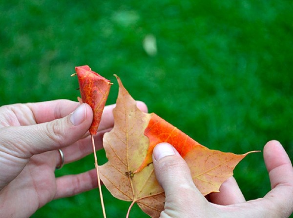 Manualidades de hojas sobre el tema "Otoño" con sus propias manos para escolares