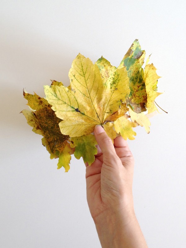 Manualidades de hojas sobre el tema "Otoño" con sus propias manos para escolares