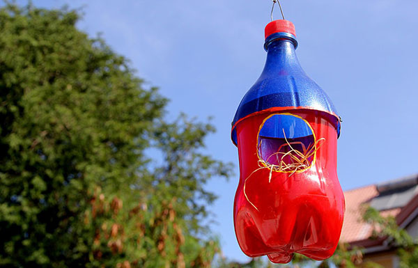 Nueva artesanía de botellas de plástico con sus propias manos para jardín y huerta