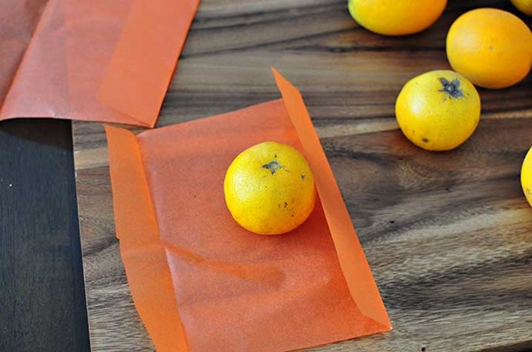 Manualidades para niños en Halloween