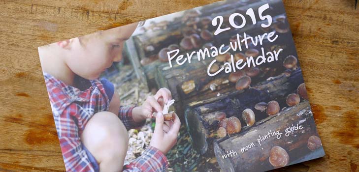 Calendario de siembra 2015: planeamos trabajar de enero a diciembre