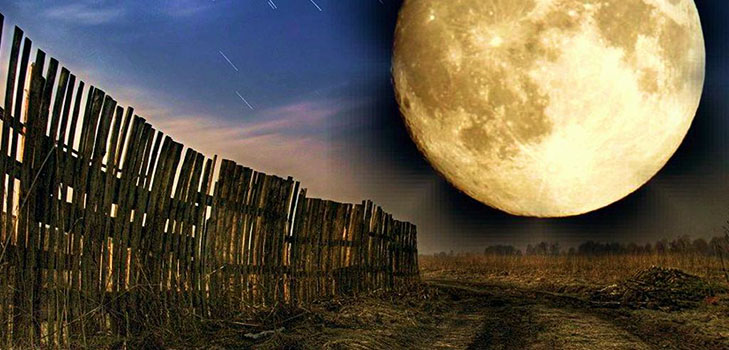 Calendario de semillas lunar para abril de 2017