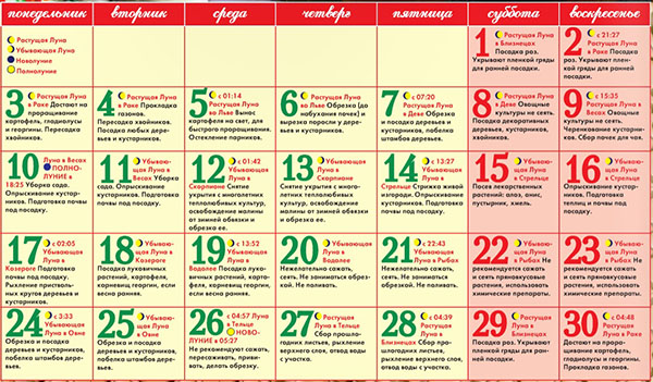 Calendario de semillas lunar para abril de 2017