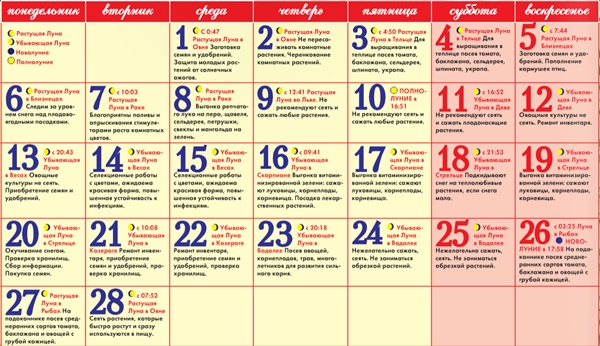 Calendario de siembra para febrero de 2017 para camioneros y jardineros. Tabla de días favorables para el calendario lunar de siembra para febrero de 2017