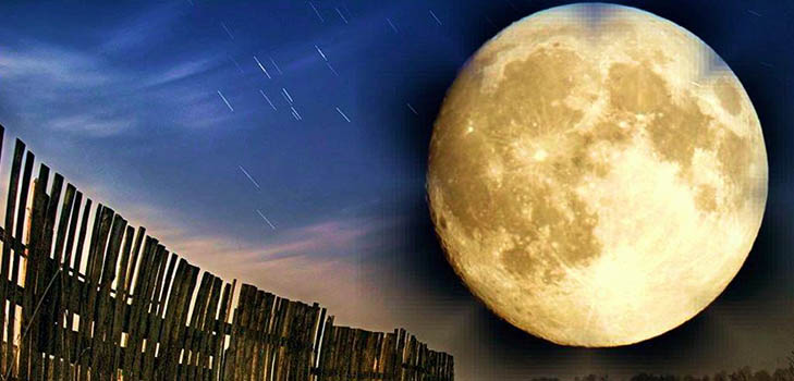 Calendario de semillas lunar para mayo de 2017