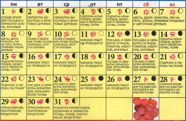 Calendario de semillas lunar para mayo de 2017