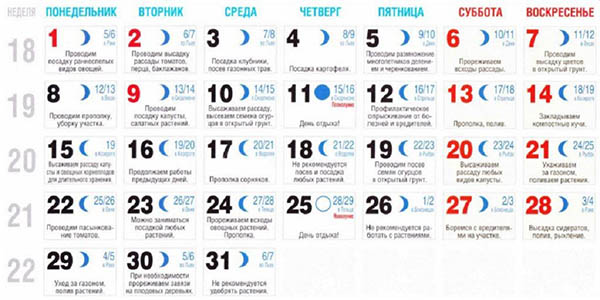 Calendario de semillas lunar para mayo de 2017