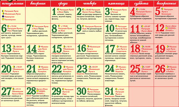Calendario de semillas lunar para marzo de 2017