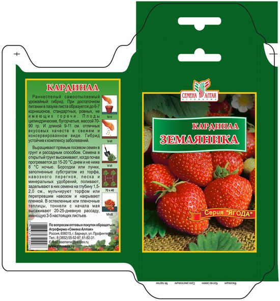 Fresas y semillero de la fresa