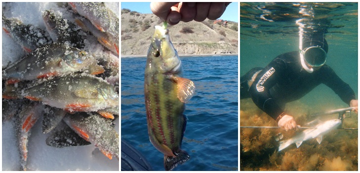 Pescado grande y pequeño: los mejores lugares para pescar en Crimea