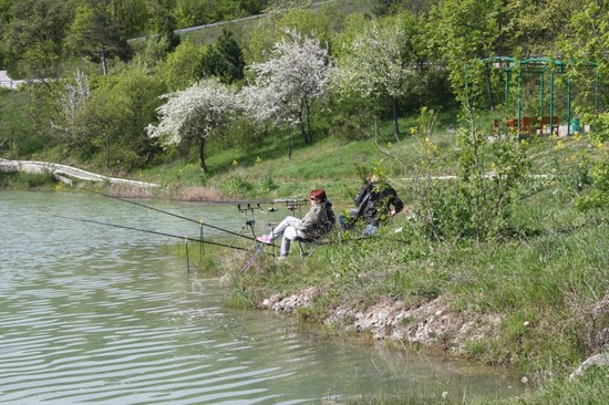 Pescado grande y pequeño: los mejores lugares para pescar en Crimea