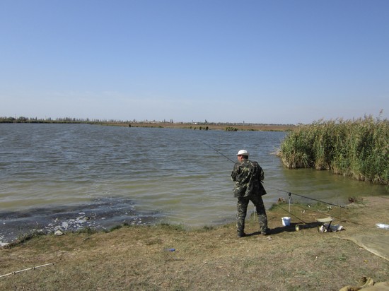 Pescado grande y pequeño: los mejores lugares para pescar en Crimea