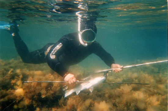 Pescado grande y pequeño: los mejores lugares para pescar en Crimea