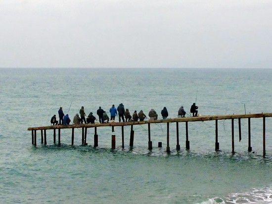 Pescado grande y pequeño: los mejores lugares para pescar en Crimea