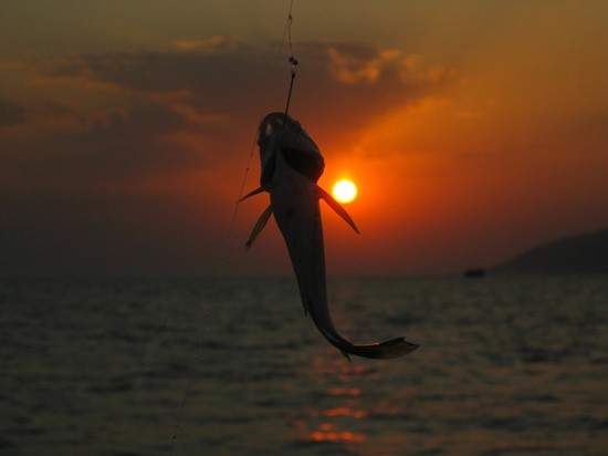 Pescado grande y pequeño: los mejores lugares para pescar en Crimea