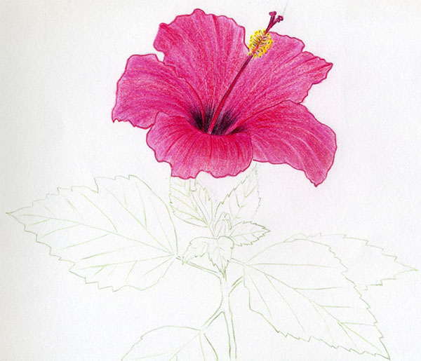 Figura Flor