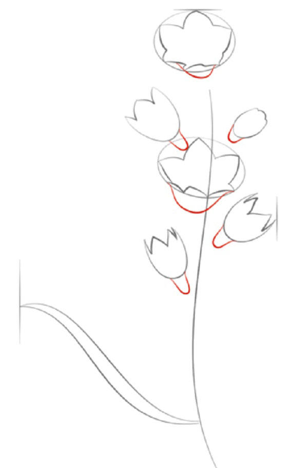 Figura Flor