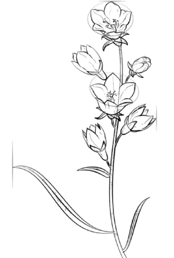 Figura Flor