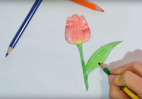 Dibujando el Día de la Madre con sus propias manos: lápiz, pinturas, jardín de infantes, escuela