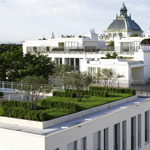Jardín en la azotea Jardín en la azotea