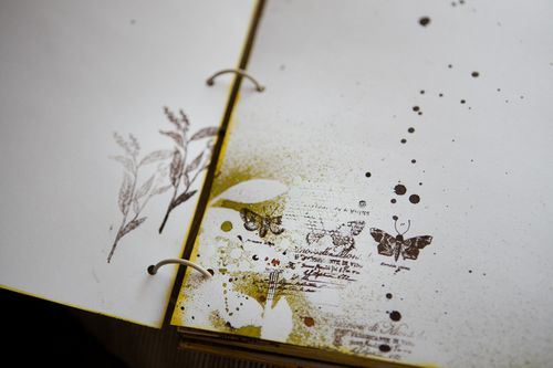 Ideas para un álbum de fotos de boda