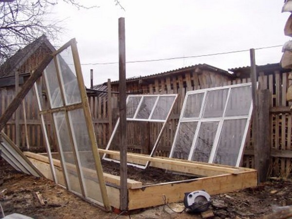 Invernadero de marcos de ventana con sus propias manos: instrucciones paso a paso con foto y video