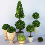 Cuidado para topiary Cuidado para topiary