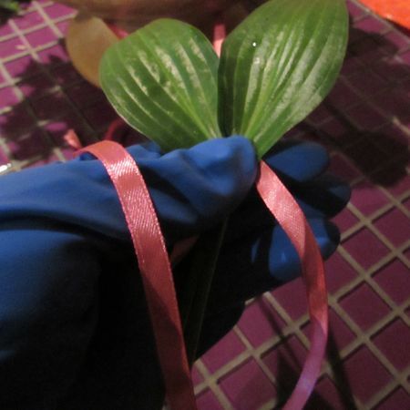 Guirnalda de flores para la boda con sus propias manos