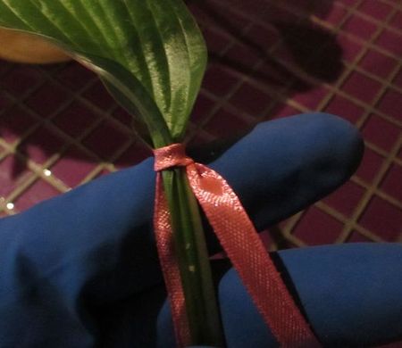Guirnalda de flores para la boda con sus propias manos