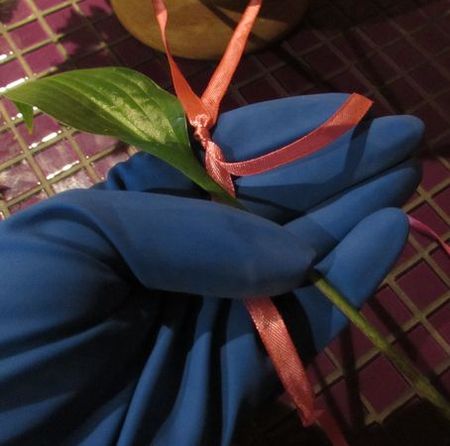 Guirnalda de flores para la boda con sus propias manos