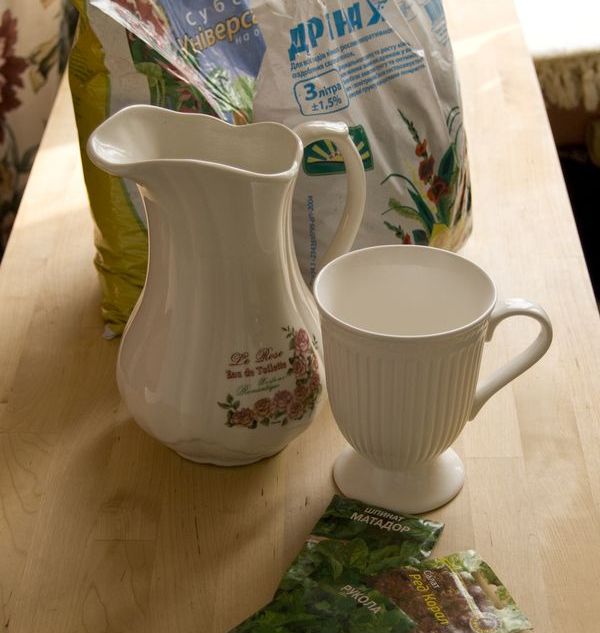 Cultivo de rúcula en casa