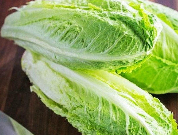 Crecer ensalada en teoría y práctica, consejos útiles y recomendaciones